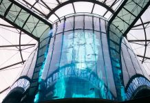 10 Attraktionen in Berlin, die du dir nicht entgehen lassen solltest 10-Ausflugtipps-für-Berlin,-die-du-dir-nicht-entgehen-lassen-solltest-sea-life