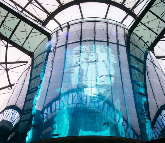 10 Attraktionen in Berlin, die du dir nicht entgehen lassen solltest 10-Ausflugtipps-für-Berlin,-die-du-dir-nicht-entgehen-lassen-solltest-sea-life