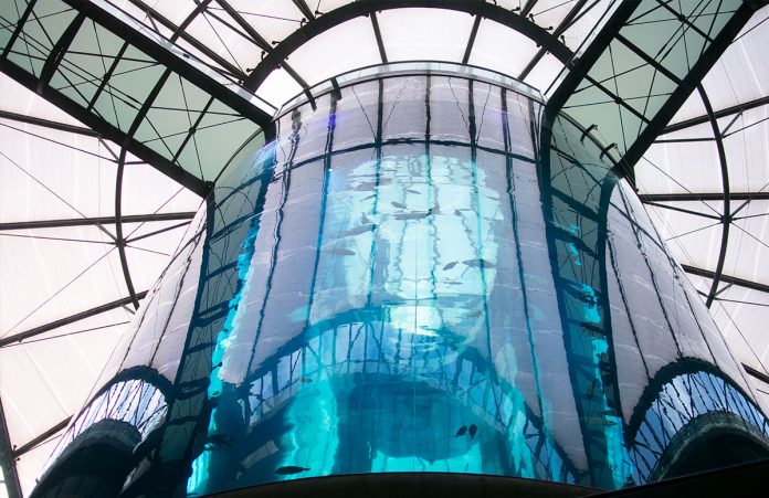 10-Ausflugtipps-für-Berlin,-die-du-dir-nicht-entgehen-lassen-solltest-sea-life 10-Ausflugtipps-für-Berlin,-die-du-dir-nicht-entgehen-lassen-solltest-sea-life