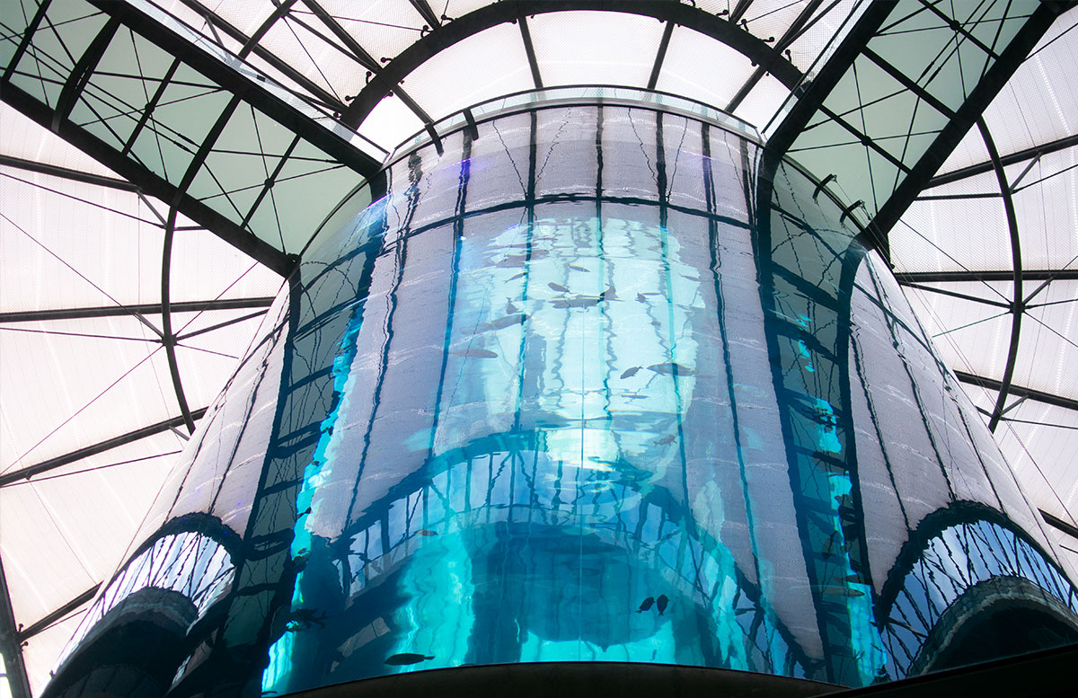 10-Ausflugtipps-für-Berlin,-die-du-dir-nicht-entgehen-lassen-solltest-sea-life