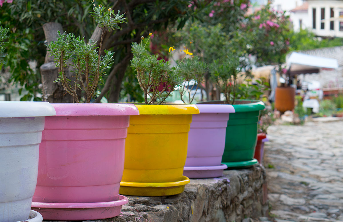 10 Ausflugtipps für Izmir, Türkei meer kaffee sirince blumen