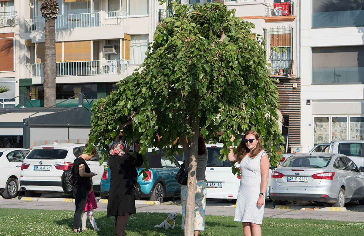 10-Dinge-die-man-unbedingt-in-Izmir-machen-muss-wunschbaum