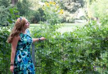 10 nützliche Tipps um die Hitze im Sommer zu ertragen