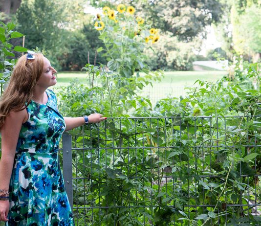 10 nützliche Tipps um die Hitze im Sommer zu ertragen