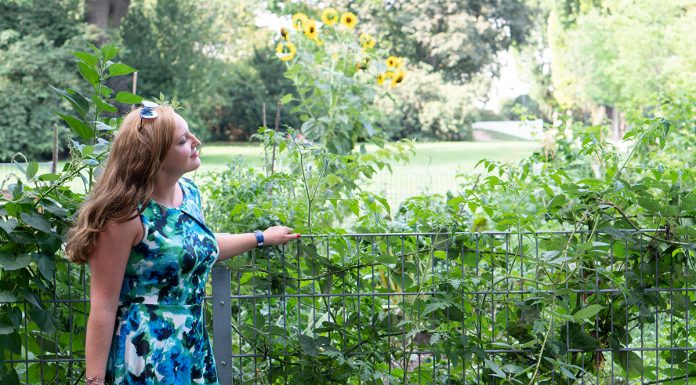 10 nützliche Tipps um die Hitze im Sommer zu ertragen