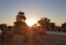 Der Copa Beach – Urlaubsfeeling in Wien Der-Copa-Beach-Urlaubsfeeling-in-Wien-liegestühle-in-der-sonne