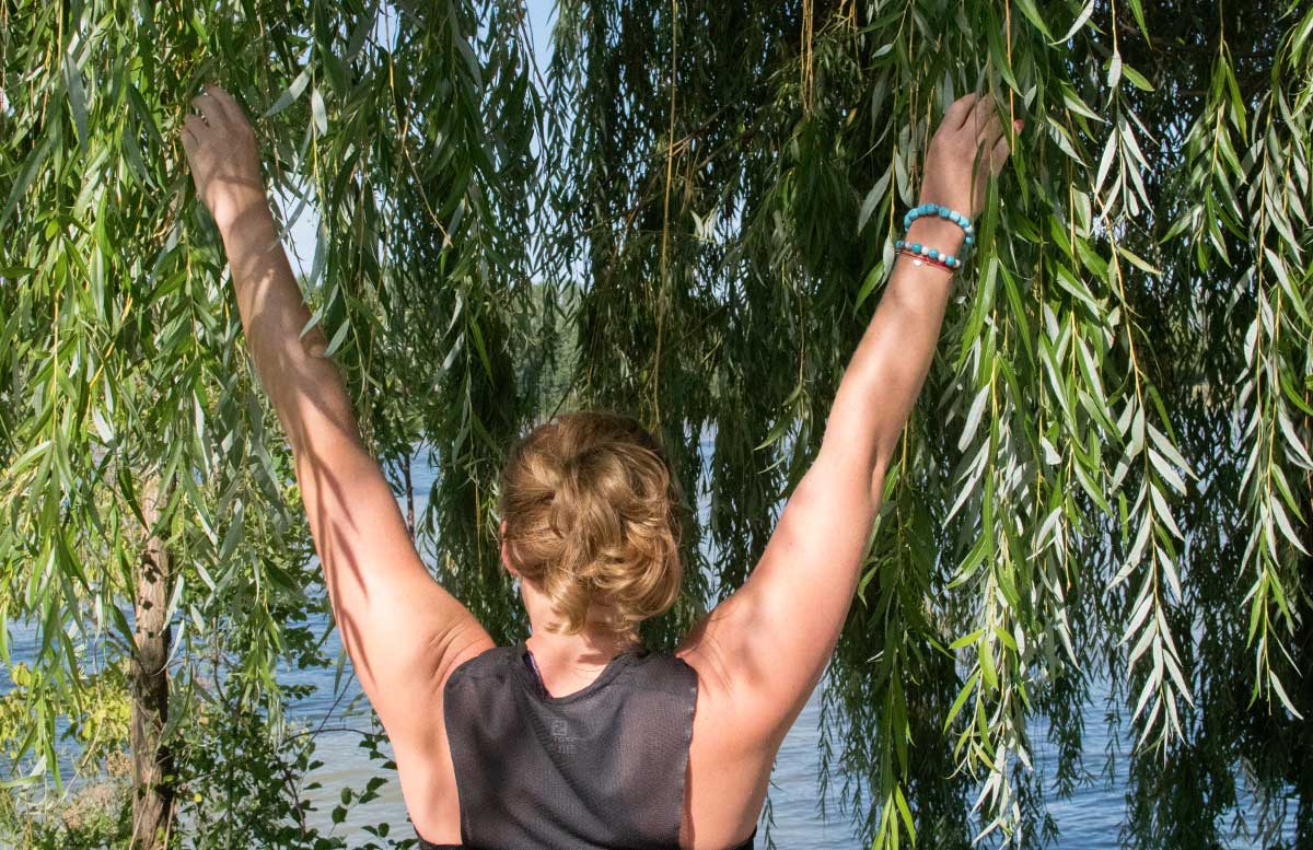 Wachau-Marathon-im-Team-Salomon-rückenansicht