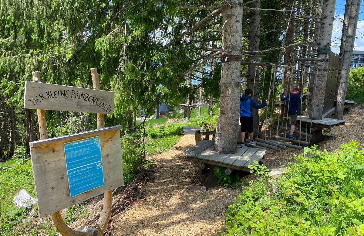6-Ausflugstipps-für-Familien-in-Maria-Alm-der-kleine-Prinzenwald