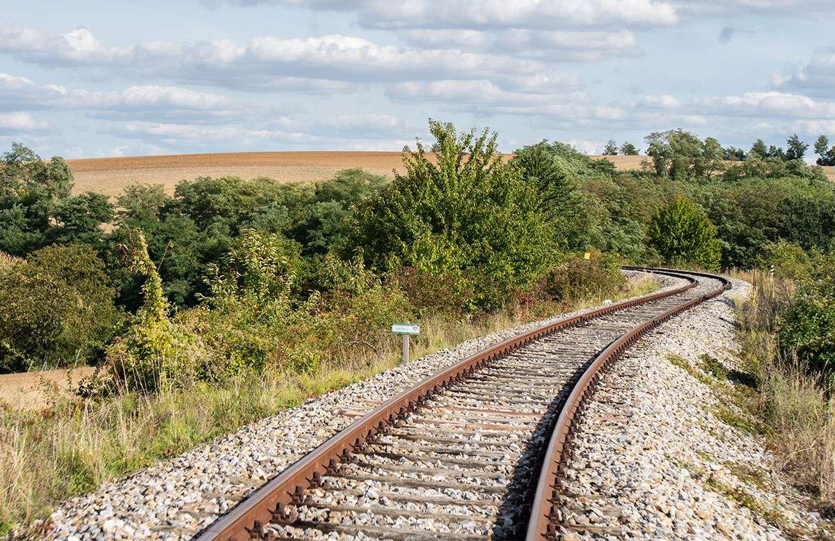Alpaka-Wanderung-und-Draisinenfahrt-im-Weinviertel-aussicht-draisinte