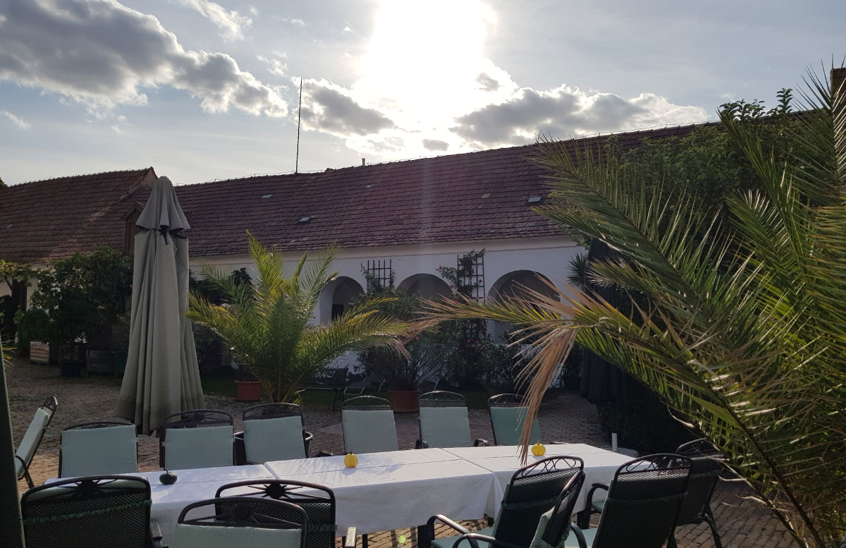 Alpaka-Wanderung-und-Draisinenfahrt-im-Waldviertel-genusshotel-haimer