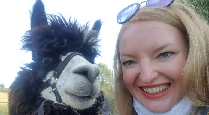 Alpaka Wanderung und Draisinenfahrt im Weinviertel Alpaka-Wanderung-und-Draisinenfahrt-im-Waldviertel-vicky-und-alpaka-selfie