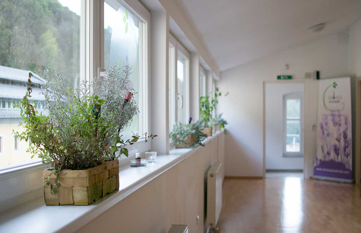 Aroma-Salon-Haare-färben-mit-Henna-aromasalon