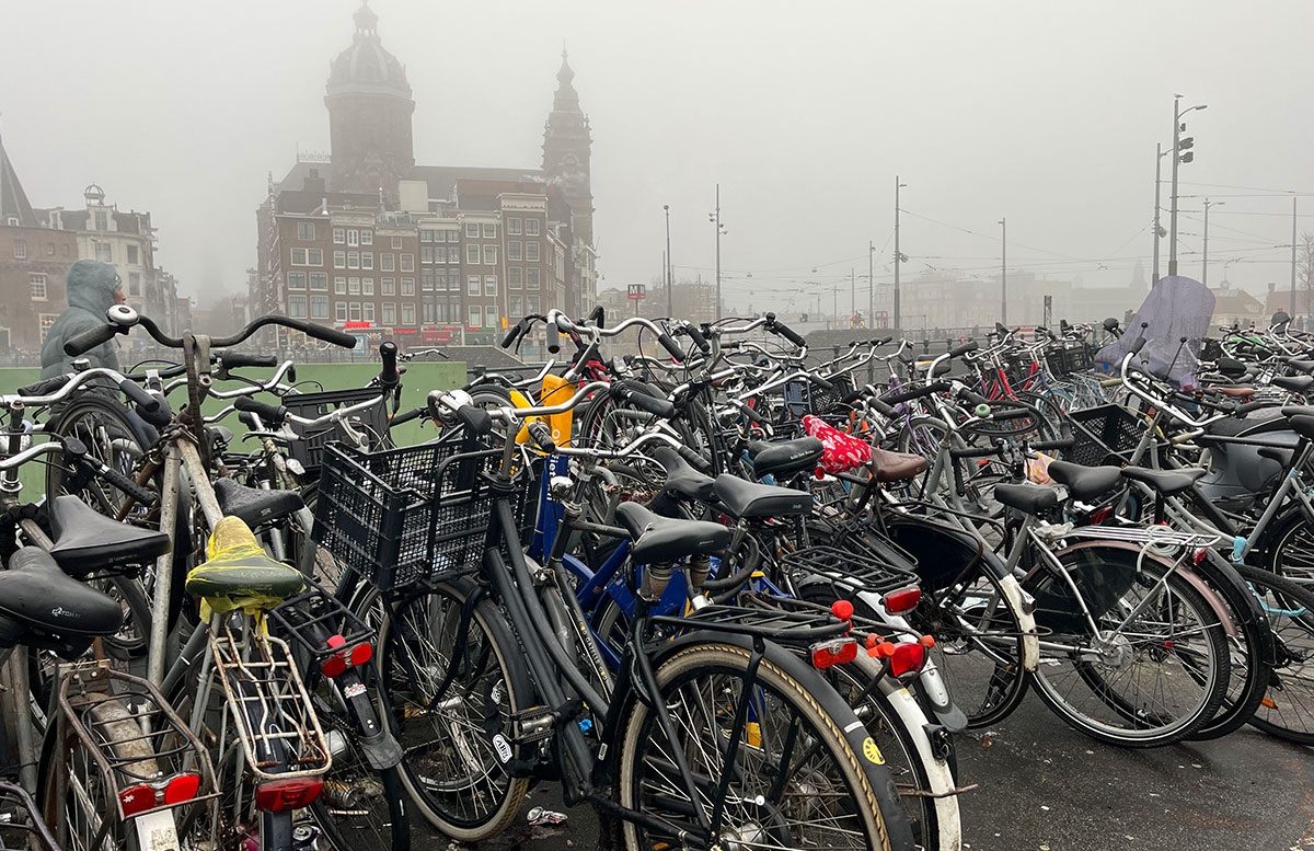 Ausflüge-nach-Holland-mit-A-ROSA-SENA-amsterdam-fahrrad