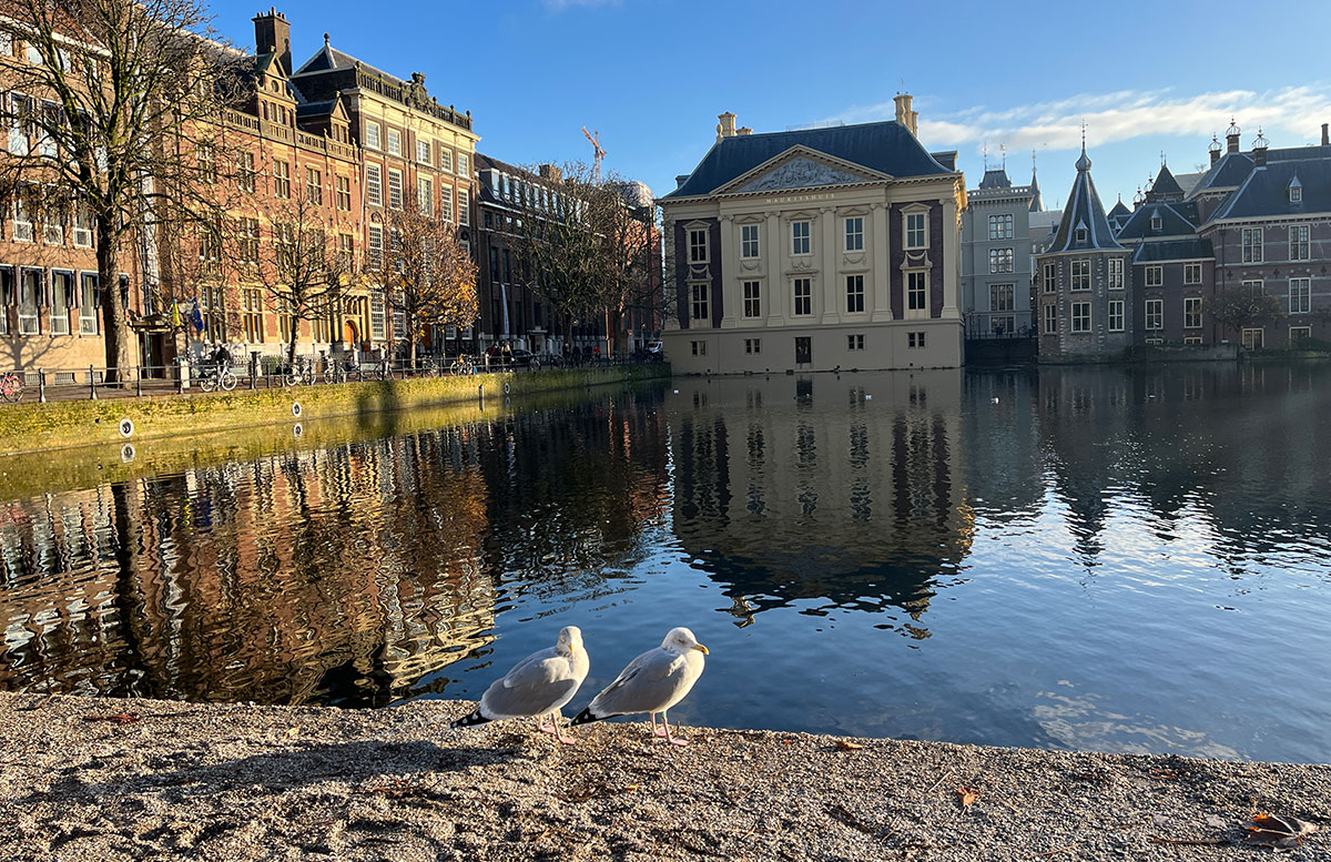 Ausflüge-nach-Holland-mit-A-ROSA-SENA-rotterdam-möwen