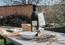 Ausflug nach Koper und zur Olivenfarm