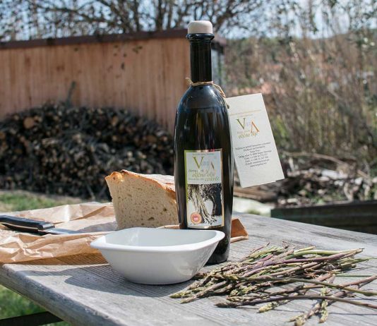 Ausflug nach Koper und zur Olivenfarm