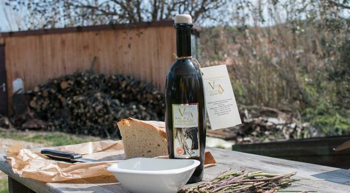 Ausflug nach Koper und zur Olivenfarm