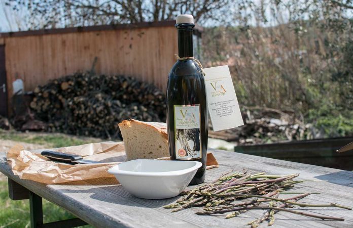 Ausflug nach Koper und zur Olivenfarm