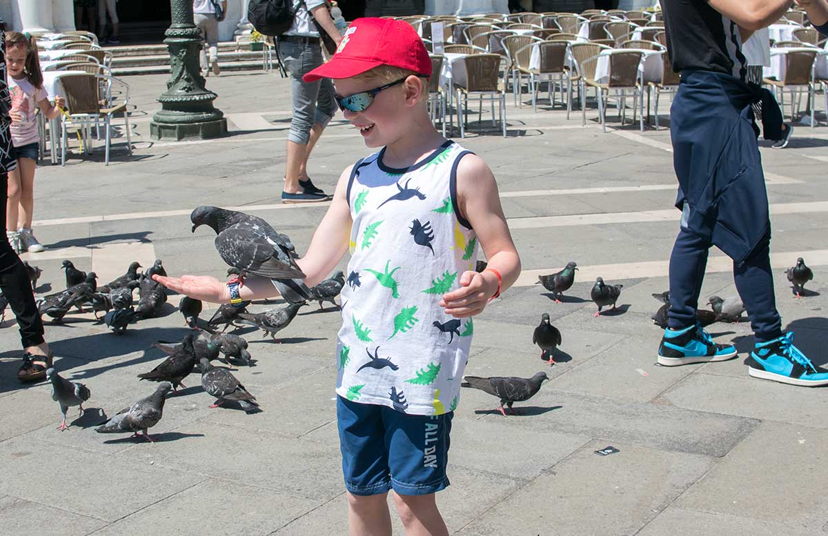 Ausflug nach Venedig und Cavallino tauben am Markusplatz