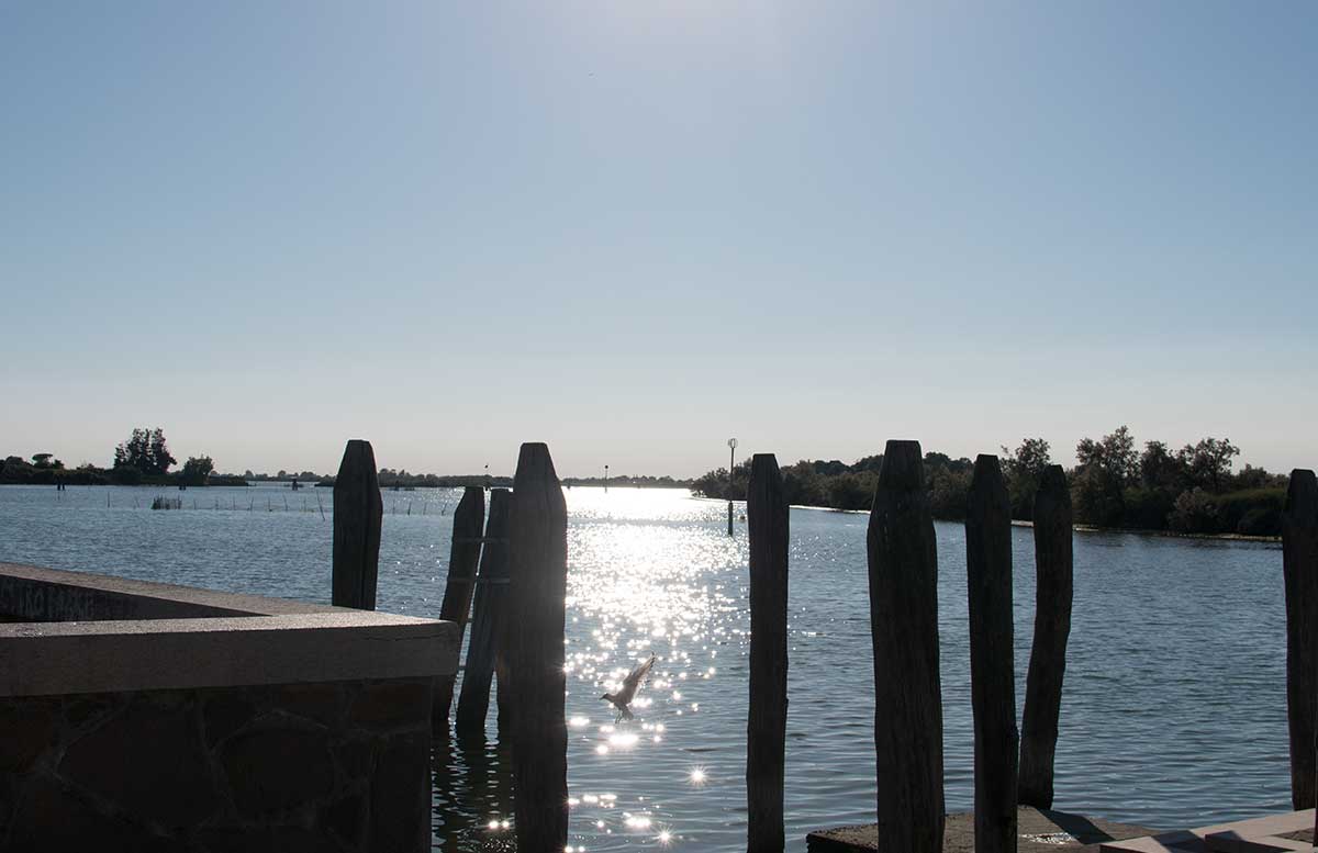 Ausflug nach Venedig und Cavallino radtour lagune blick aufs meer