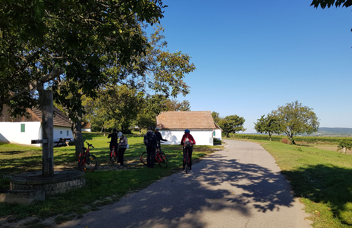 Ausflug-zur-Burg-Falkenstein-und-E-Bike-Tour-in-Poysdorf-gruppe