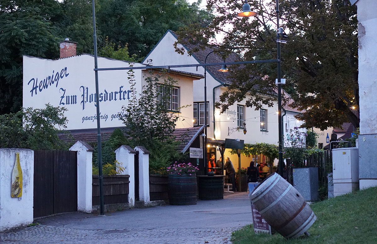 Ausflug-zur-Burg-Falkenstein-und-E-Bike-Tour-in-Poysdorf-heuriger-zum-poysdorfer
