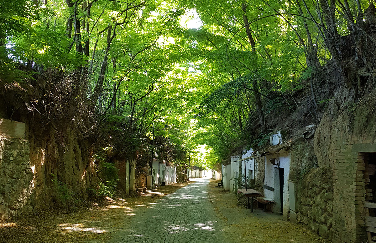Ausflug-zur-Burg-Falkenstein-und-E-Bike-Tour-in-Poysdorf-kellergasse-allee
