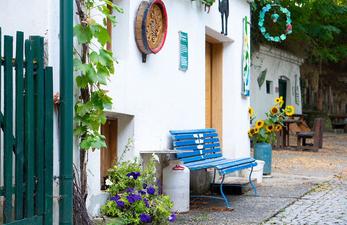 Ausflug-zur-Burg-Falkenstein-und-E-Bike-Tour-in-Poysdorf-kellergasse-image