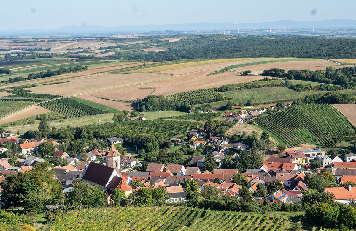 Ausflug-zur-Burg-Falkenstein-und-E-Bike-Tour-in-Poysdorf-kellergasse-waldviertel