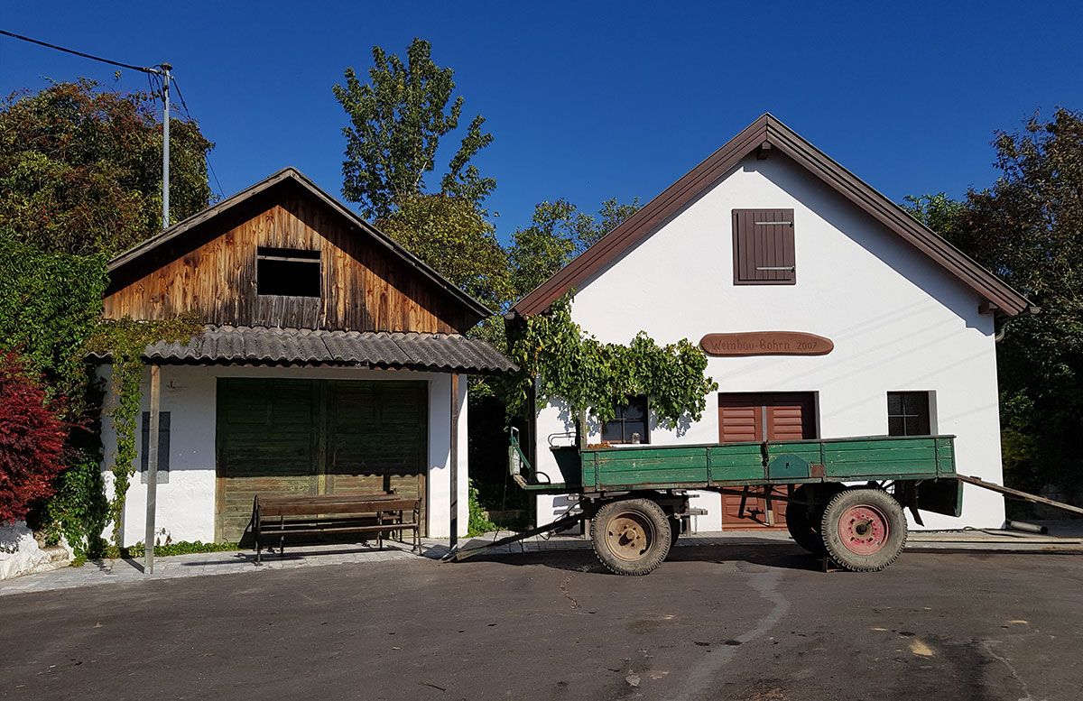 Ausflug-zur-Burg-Falkenstein-und-E-Bike-Tour-in-Poysdorf-kellergasse