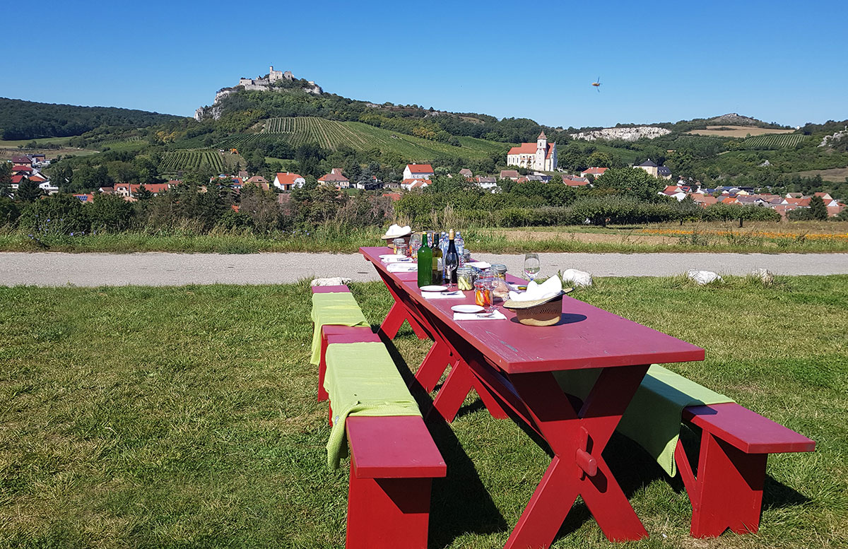 Ausflug-zur-Burg-Falkenstein-und-E-Bike-Tour-in-Poysdorf-picknick-mit-ausblick