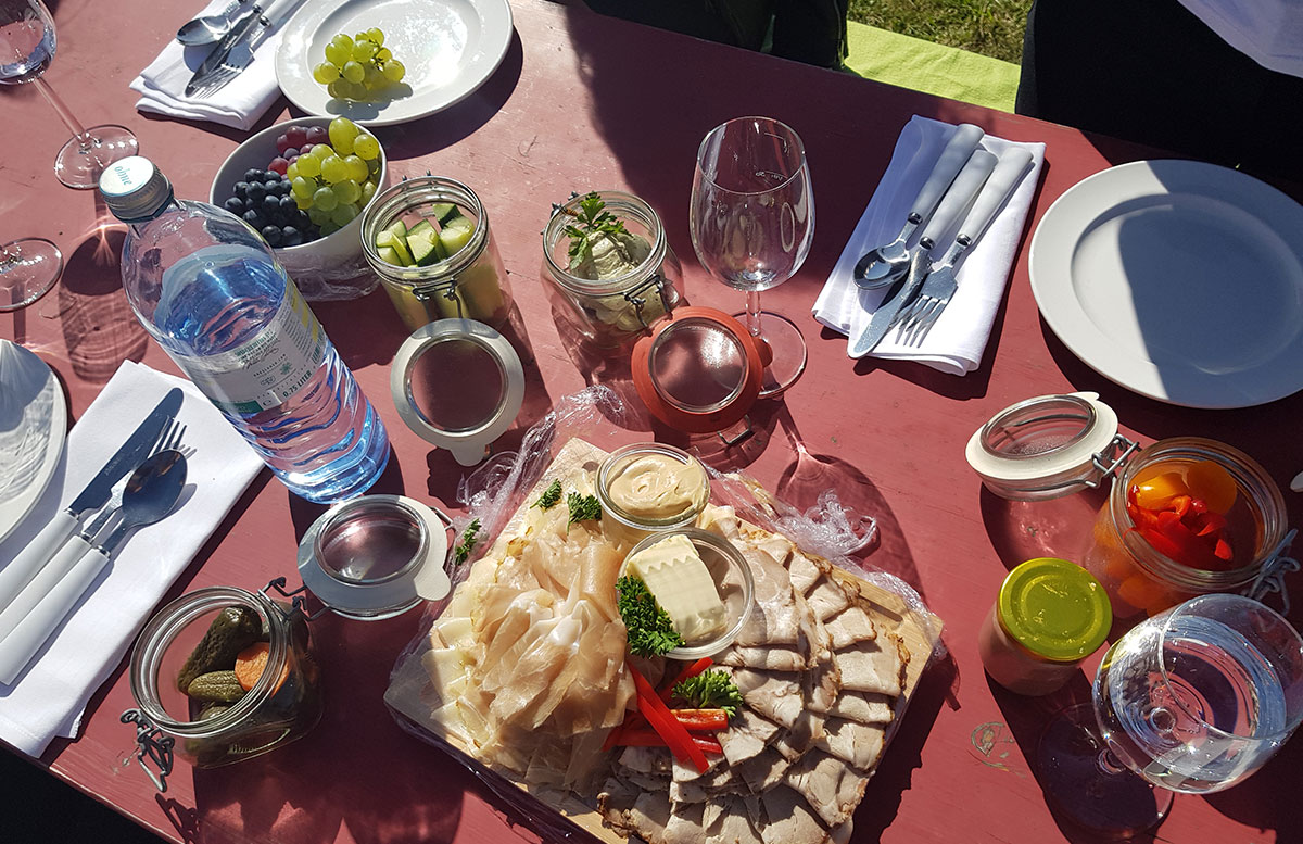 Ausflug-zur-Burg-Falkenstein-und-E-Bike-Tour-in-Poysdorf-picknick
