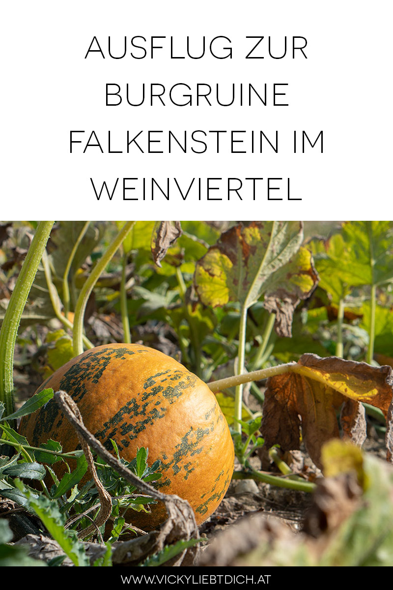 Ausflug-zur-Burg-Falkenstein-und-E-Bike-Tour-in-Poysdorf-pinterest