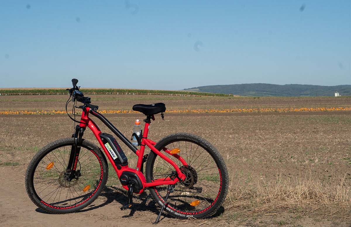 Ausflug-zur-Burg-Falkenstein-und-E-Bike-Tour-in-Poysdorf-räder