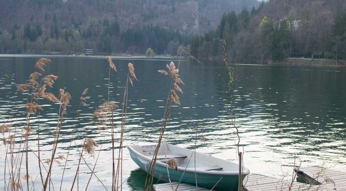 Ausflug zur Insel am See in Bled