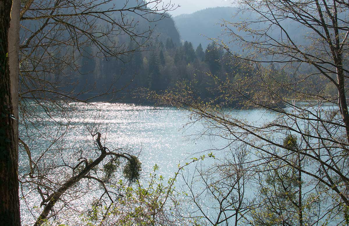 Ausflug zur Insel am See in Bled aussicht von der kirche