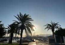 Ausflug zur schönsten Bucht in Pollensa Ausflug-zur-schönsten-Bucht-in-Pollensa-palmen