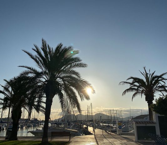 Ausflug zur schönsten Bucht in Pollensa Ausflug-zur-schönsten-Bucht-in-Pollensa-palmen
