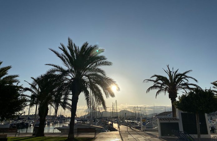 Ausflug zur schönsten Bucht in Pollensa Ausflug-zur-schönsten-Bucht-in-Pollensa-palmen