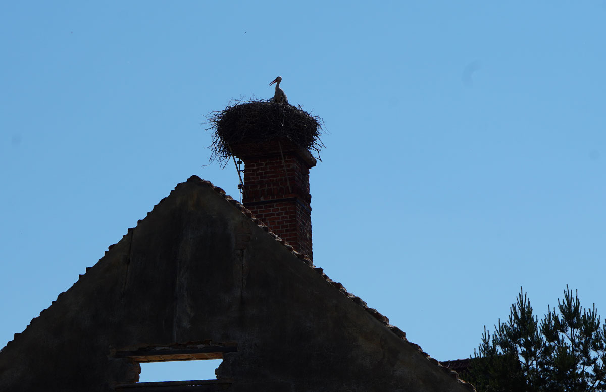 Ausflugsziele-für-Familien-in-Südmähren-storch