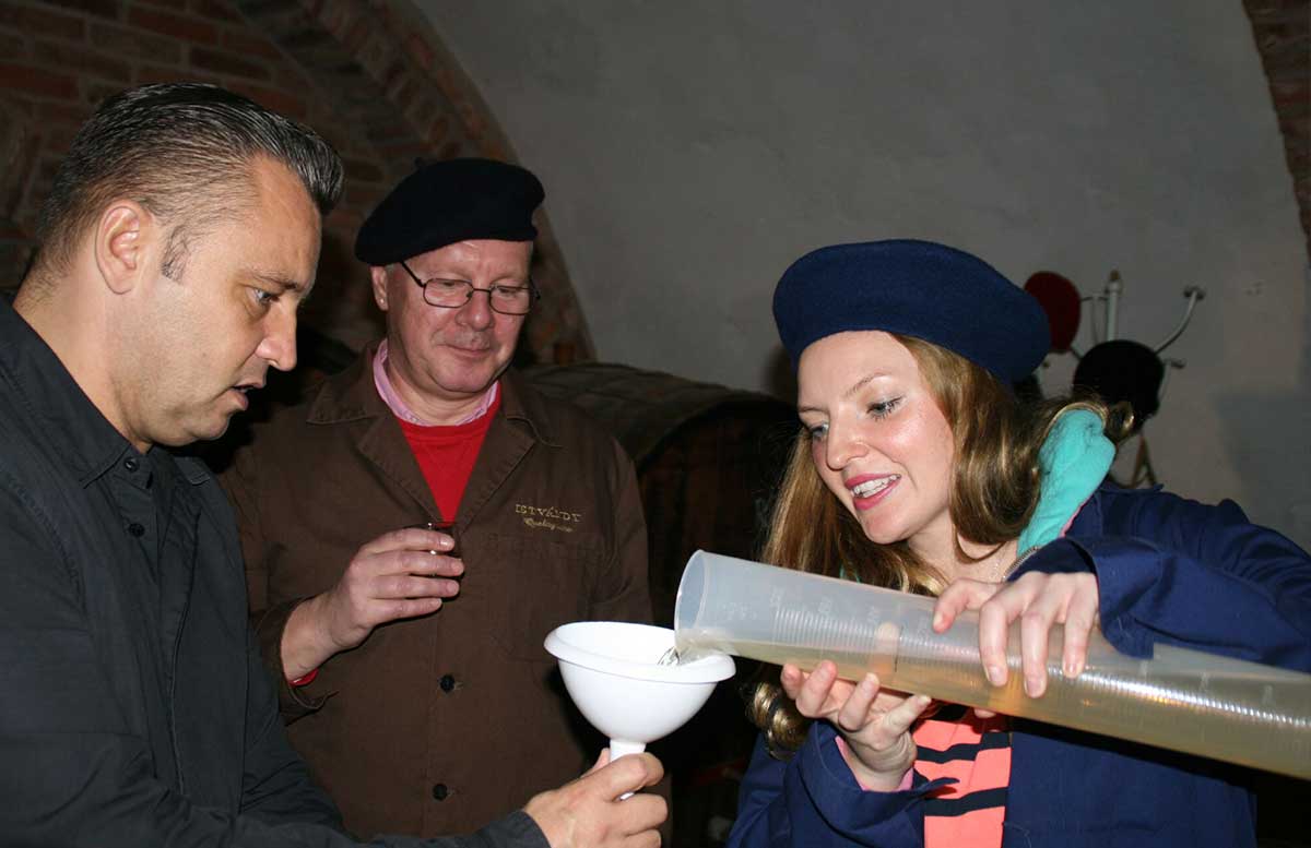 Ausflüge-nach-Keszthely-ins-Schlossmuseum-und-Badacsony-wein-abfüllen