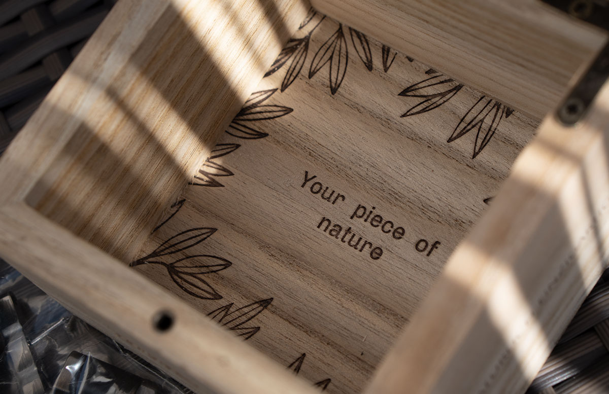 Automatikuhr-von-Holzkern-Aus-Liebe-zur-Natur-holzschatulle