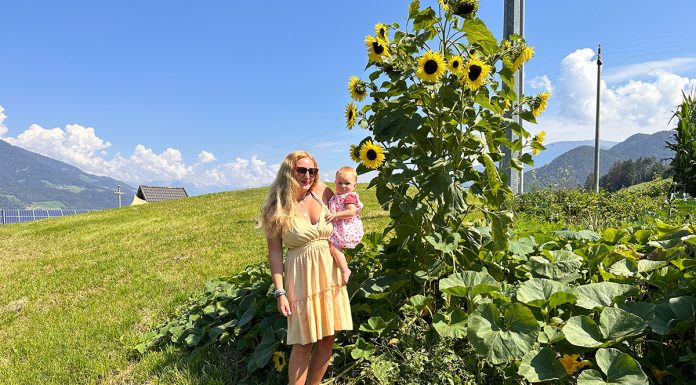Bauernhof Urlaub Roter Hahn am Feilerhof Bauernhof-Urlaub-Roter-Hahn-am-Feilerhof-sonnenblumen
