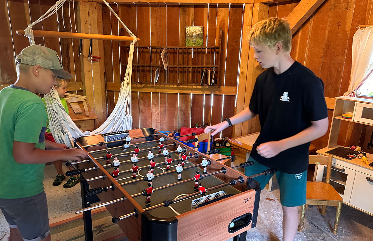 Bauernhof-Urlaub-Roter-Hahn-am-Feilerhof-spielscheune