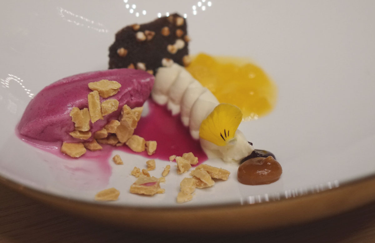 Besuch-Skiflugschanze-Planica-und-Elan-Skiwerk-bled-rose-sorbet