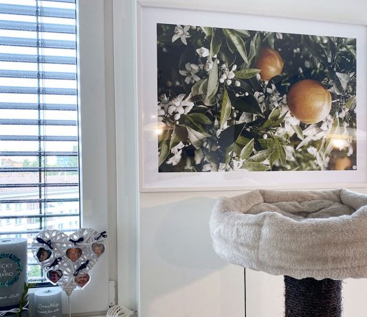 Bilderwand Inspirationen für unsere Wohnung mit Posterstore Bilderwand-Inspirationen-für-die-Wohnung-mit-Posterstore-orangenbild-kühl