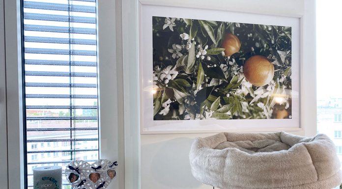 Bilderwand Inspirationen für unsere Wohnung mit Posterstore Bilderwand-Inspirationen-für-die-Wohnung-mit-Posterstore-orangenbild-kühl