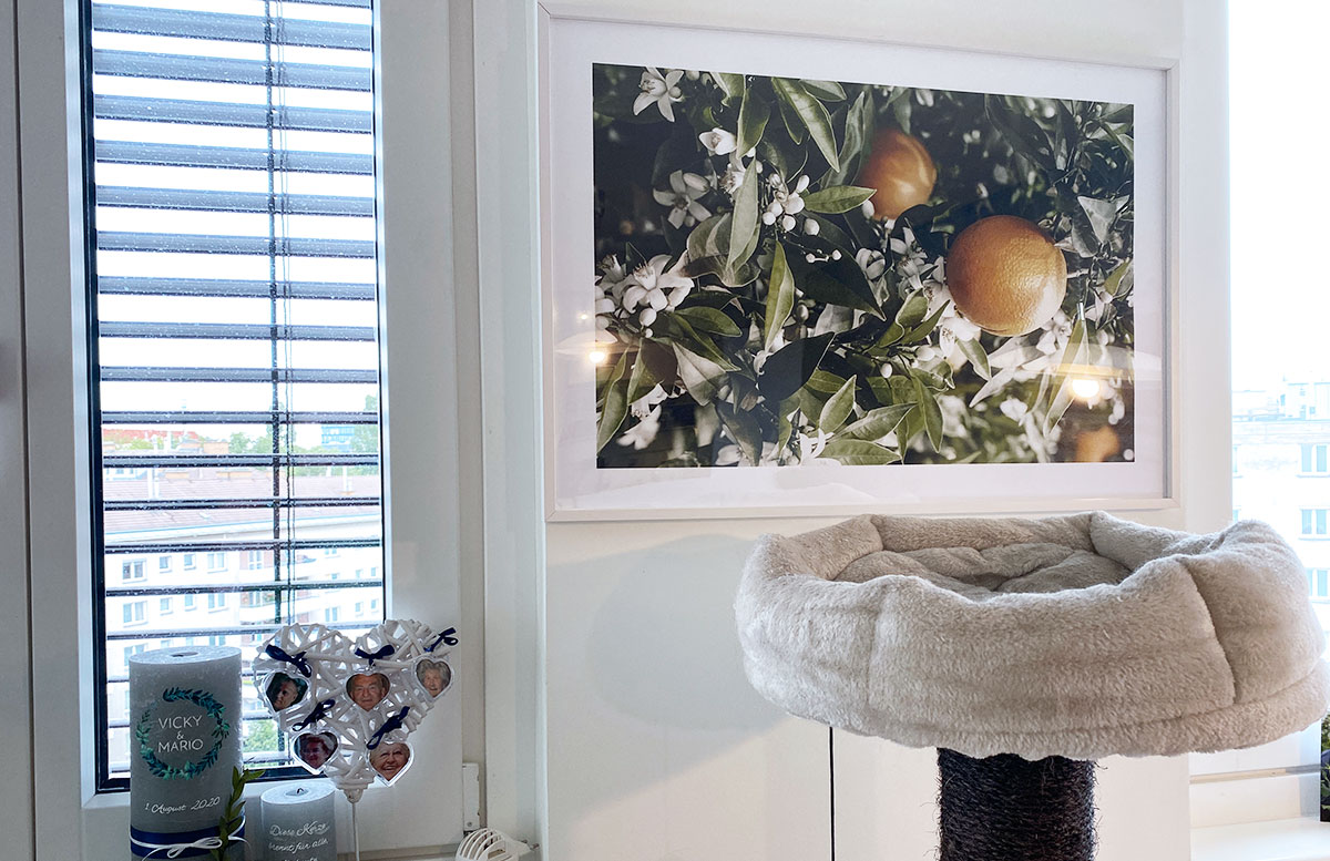 Bilderwand-Inspirationen-für-die-Wohnung-mit-Posterstore-orangenbild-kühl