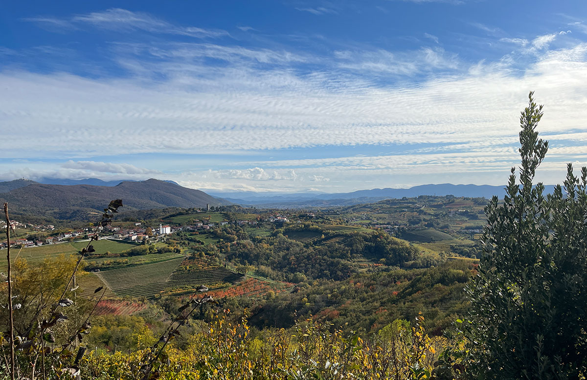Blick-über-Smartno,-Olivenöl--und-Weinverkostung-in-Goriska-Brda-aussicht