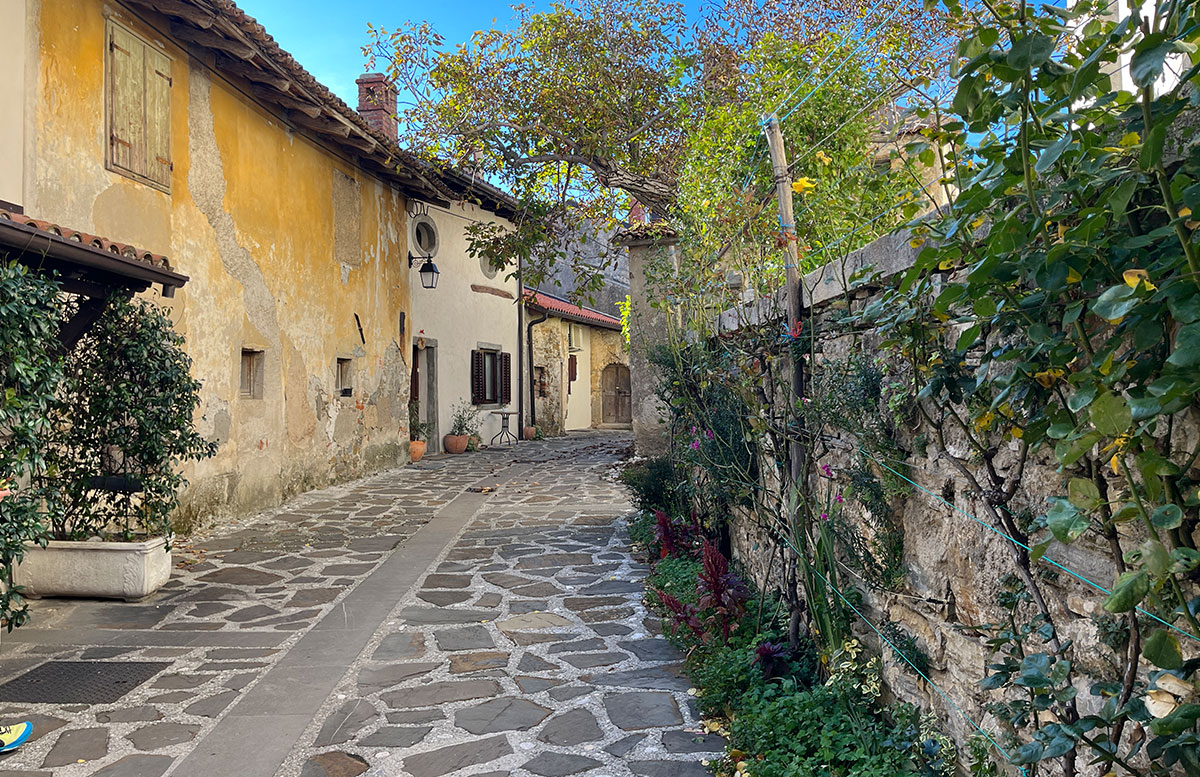 Blick-über-Smartno,-Olivenöl--und-Weinverkostung-in-Goriska-Brda--rundgang-smartno